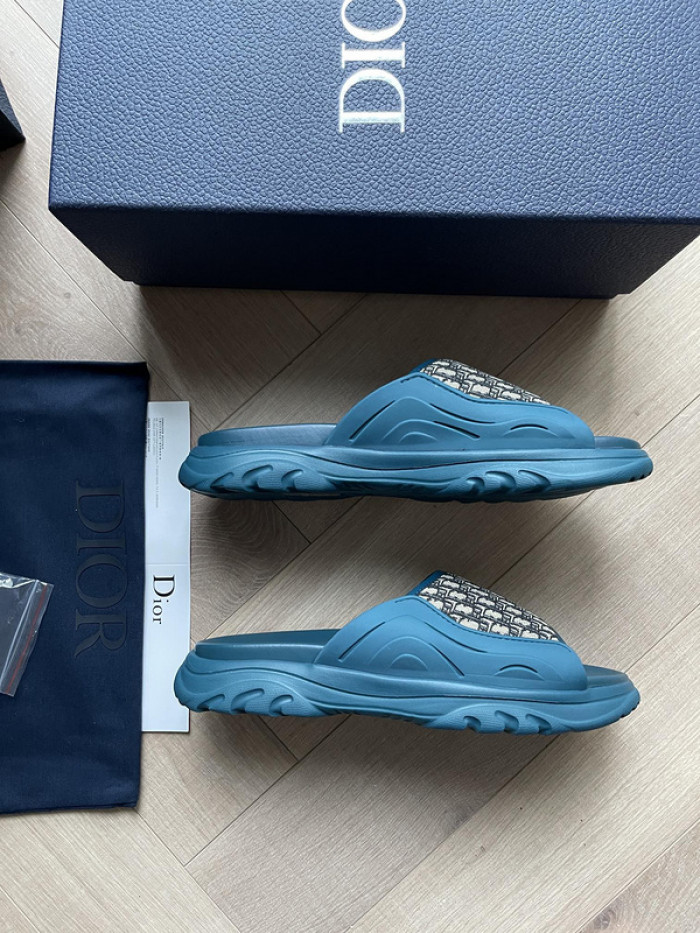 D1R* SLIDE copshoe  DR-SLIDE 007