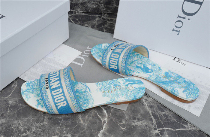 D1R* SLIDE copshoe  DR-213