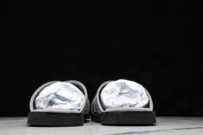 D1R* SLIDE copshoe  DR-SLIDE 016