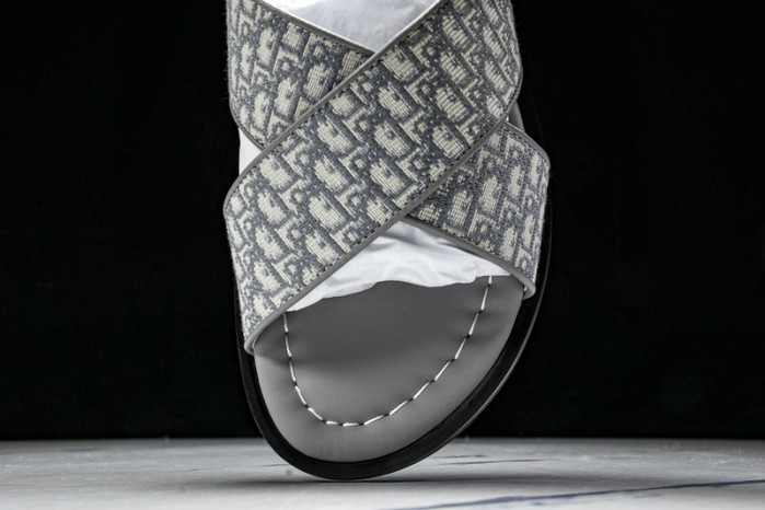 D1R* SLIDE copshoe  DR-SLIDE 016