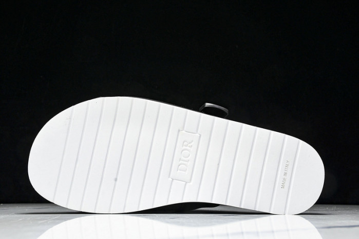 D1R* SLIDE copshoe  DR-SLIDE 018