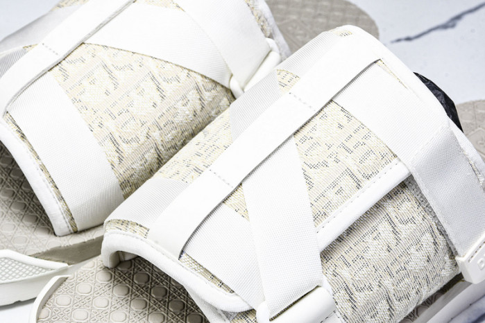 D1R* SLIDE copshoe  DR-SLIDE 019