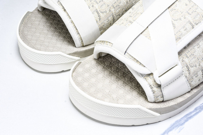 D1R* SLIDE copshoe  DR-SLIDE 019