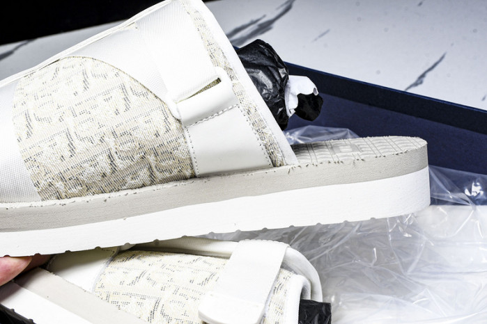 D1R* SLIDE copshoe  DR-SLIDE 019