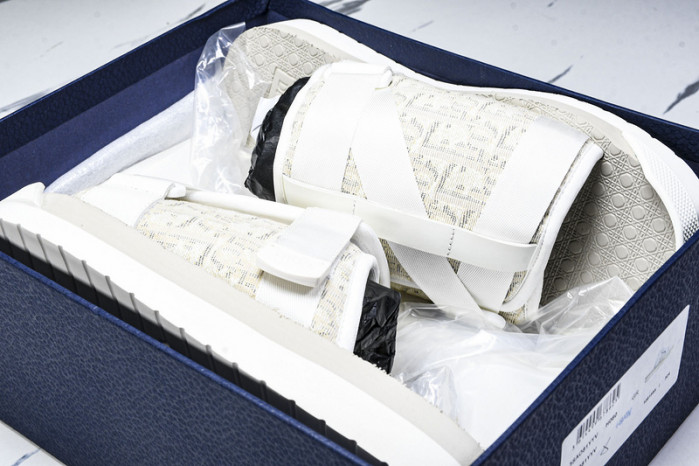 D1R* SLIDE copshoe  DR-SLIDE 019