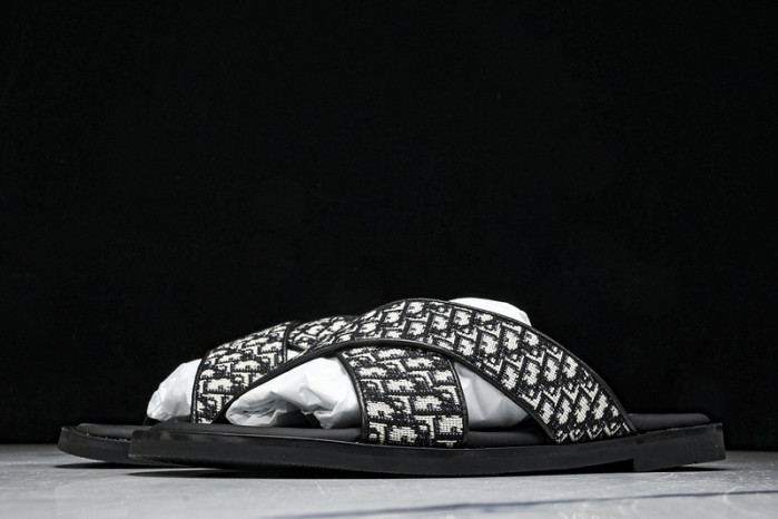 D1R* SLIDE copshoe  DR-SLIDE 020