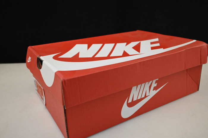 Nike Dunk Low Tan Green FB7160-231