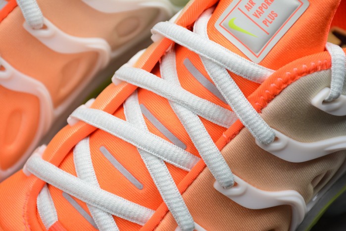 Nike Vapormax Plus AO4550-003